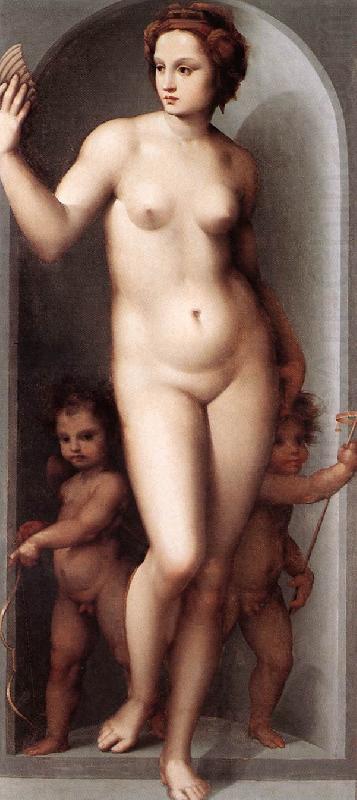 BRESCIANINO, Andrea del Venus and Two Cupids dsf china oil painting image